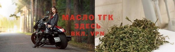 прущая мука Вяземский