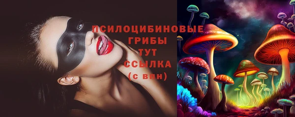 дживик Вязники