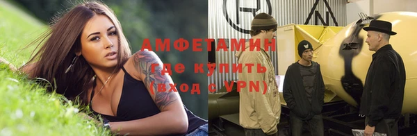 прущая мука Вяземский