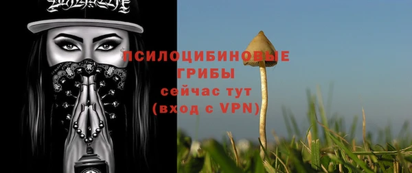 прущая мука Вяземский