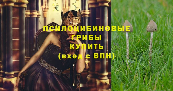 прущая мука Вяземский