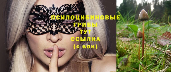 тгк Вязьма