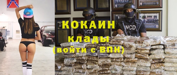 прущая мука Вяземский