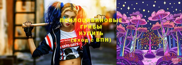 прущая мука Вяземский