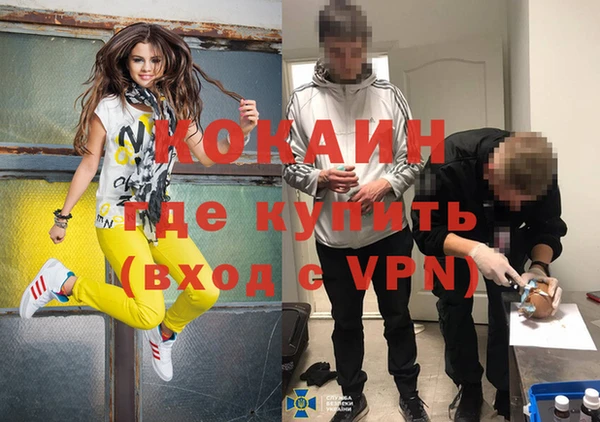 прущая мука Вяземский